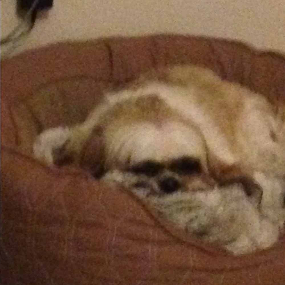 Meet your Posher, Coleen